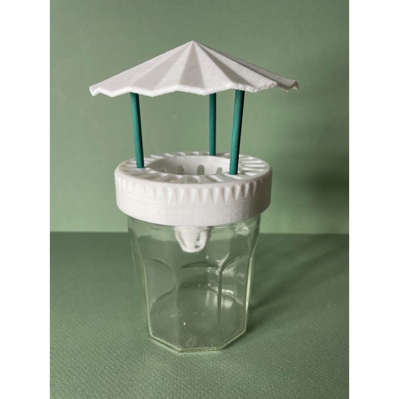 Piège à Frelons Asiatique