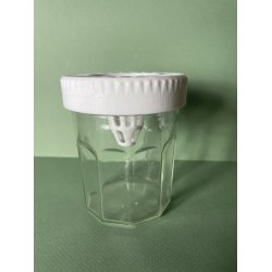 Piège à Frelons Asiatique