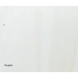 Panneau Plan de Table Carte du Monde