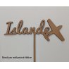 Nom de table Personnalisé avec un Avion, en Bois, sur pic