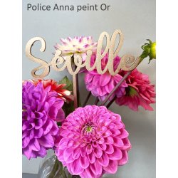 Nom de table Personnalisé en bois Peint