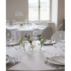 Nom de table Personnalisé, en PLEXI, transparent, or et couleurs, sur pic ou support