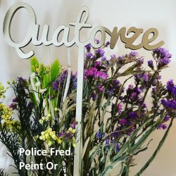 Numéro en Lettres en bois, en couleurs, sur pic ou support