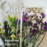 Numéro en Lettres en bois, en couleurs, sur pic ou support
