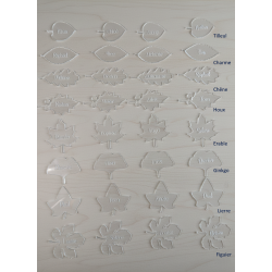Feuille,  Marque Place en plexiglas gravé.