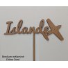Nom de table Personnalisé avec un Avion, en Bois, sur pic ou support