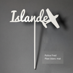Nom de table Personnalisé avec un Avion, en PLEXI, sur pic ou support