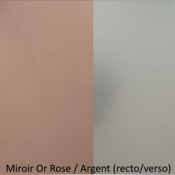 Numéro en Lettres, en PLEXI, transparent, or et couleur, sur pic ou support